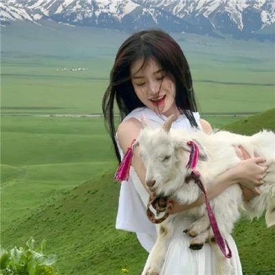 8天就死去的怪兽的12日谈 电影版